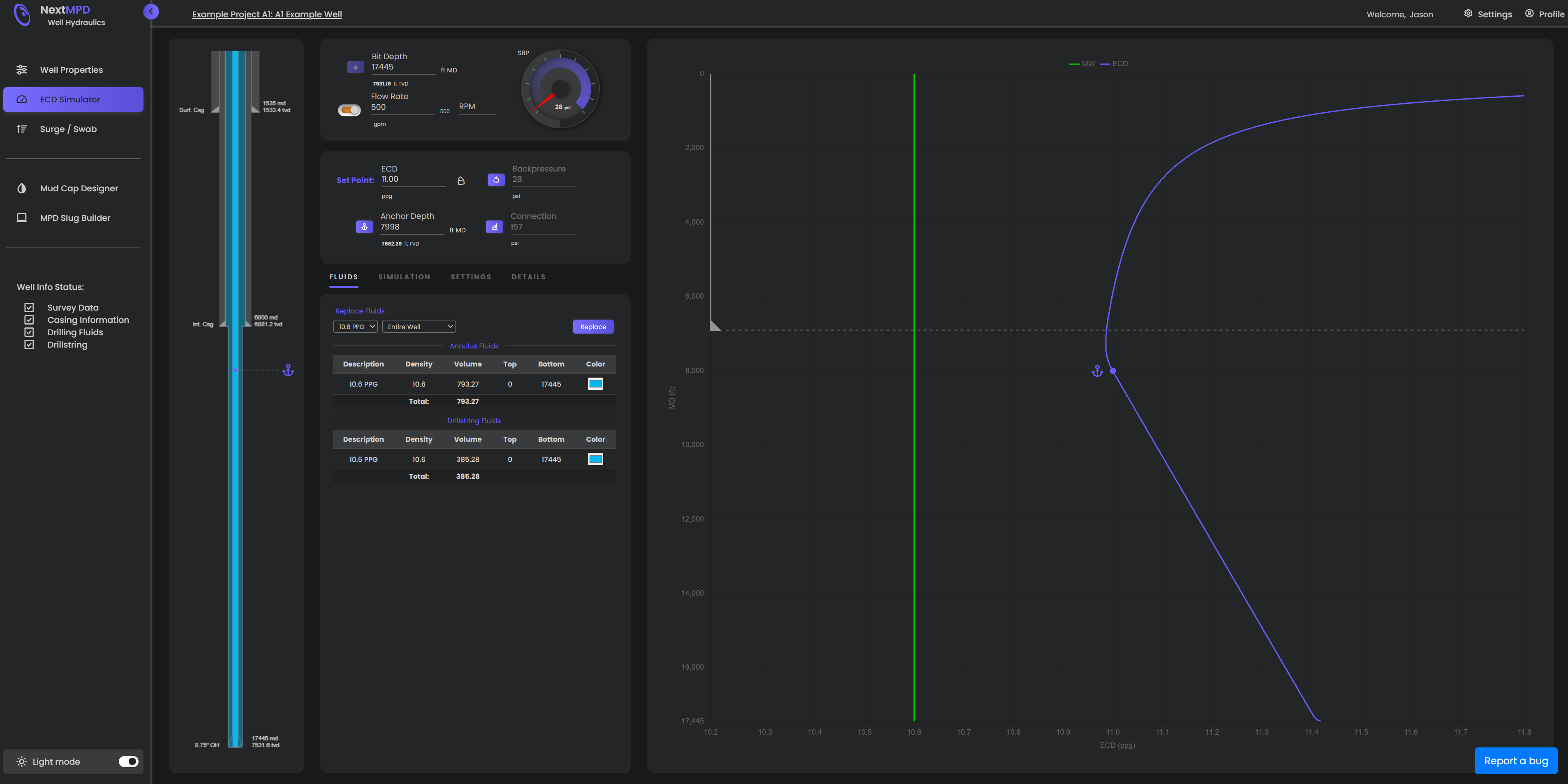 Simulation Screenshot