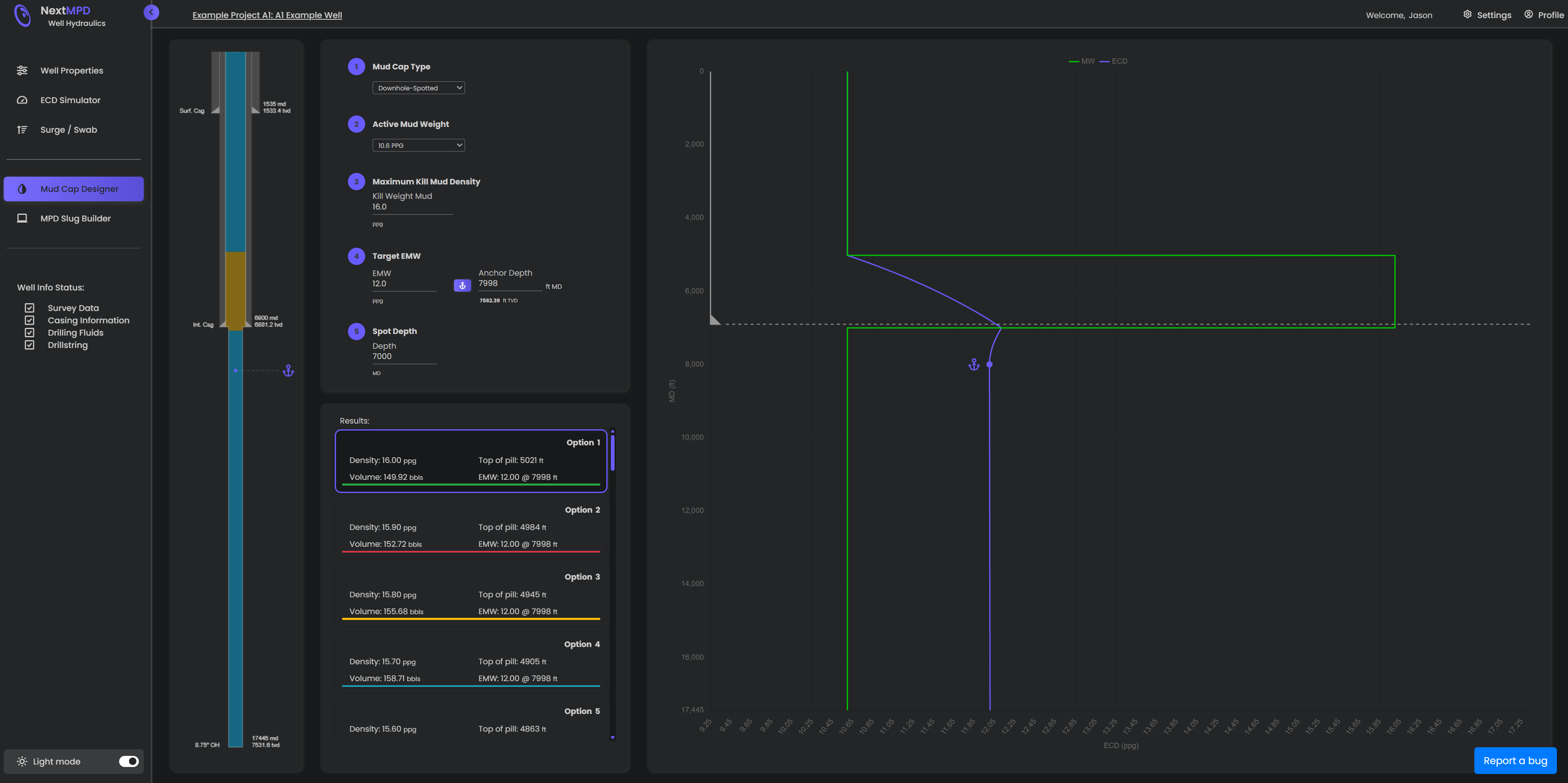 Simulation Screenshot